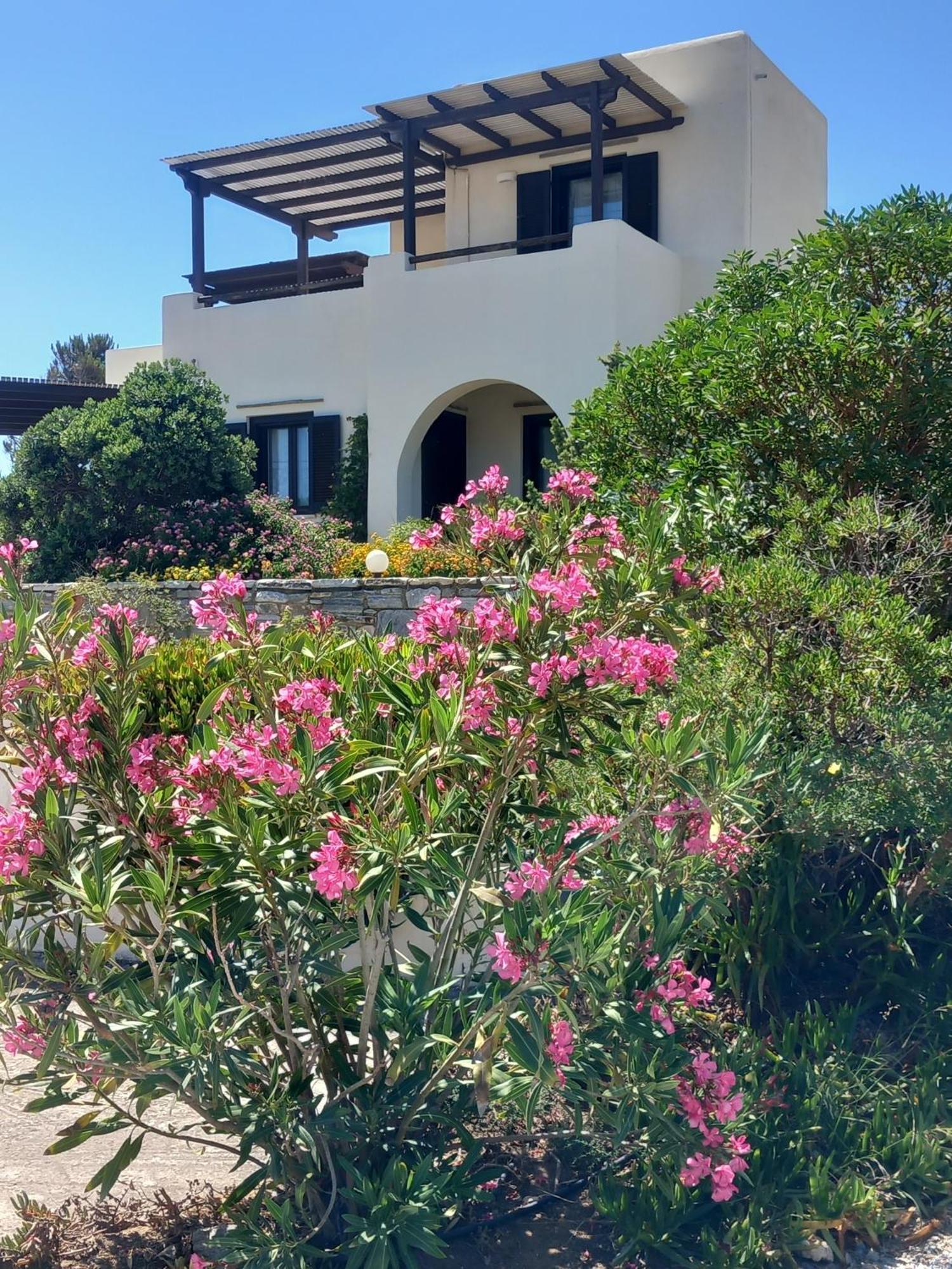 Kedros Villas Agios Prokopios  Exterior photo